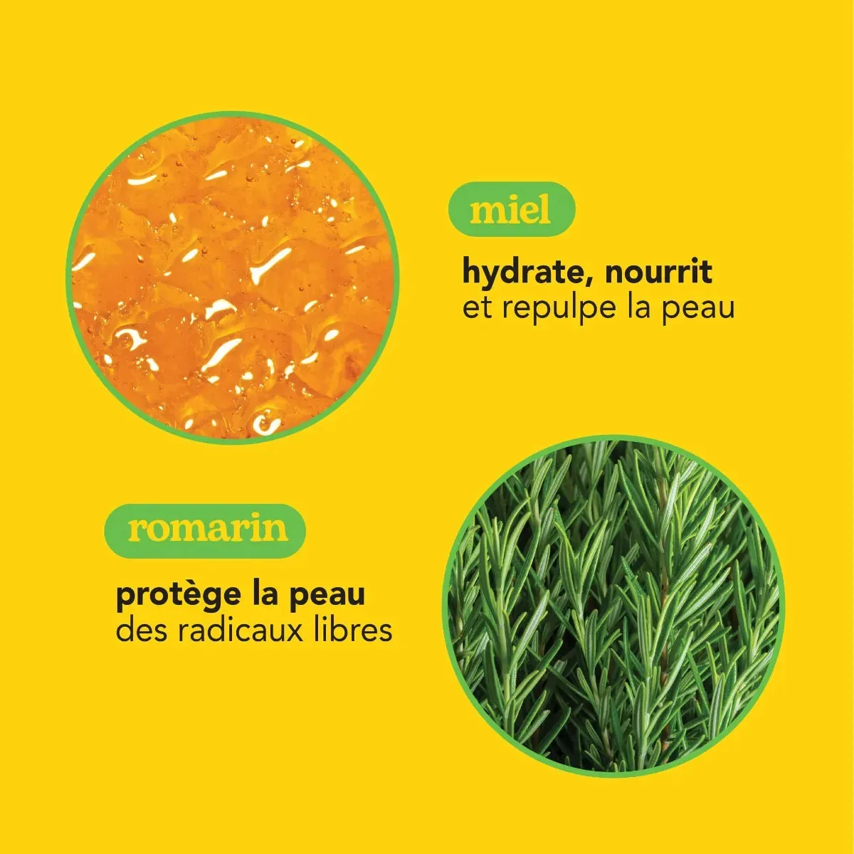 Beesline Honey & Rosemary dagcrème hydraterend