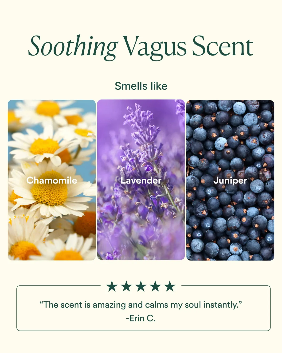 Osea Vagus Nerve Trio verzorgingsset 3-delig rustgevend
