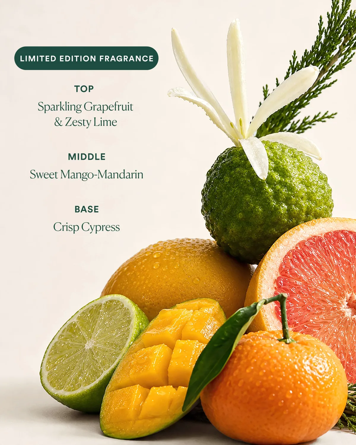 Osea Undaria Uplift geurolie 0,46 oz grapefruit