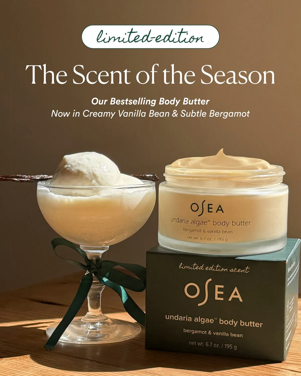 Osea Undaria Algae Body Butter bodybutter 6.7 oz vanille