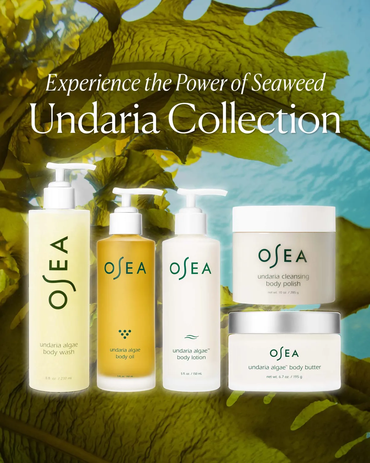 Osea Undaria Algae lichaamsolie 5 fl oz verstevigend