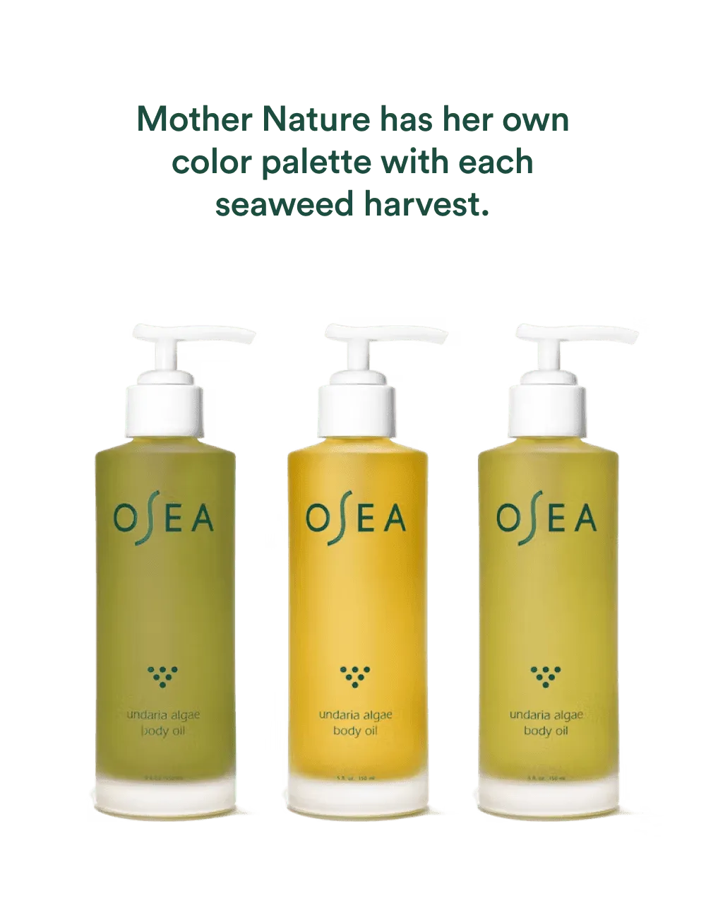 Osea Undaria Algae lichaamsolie 1 oz travel