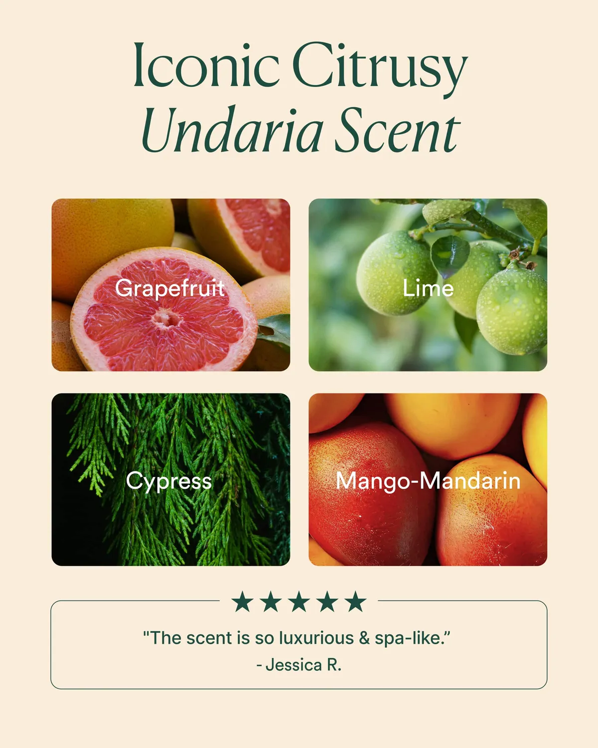 Osea Undaria Body Collection lichaamsset 4-delig glow