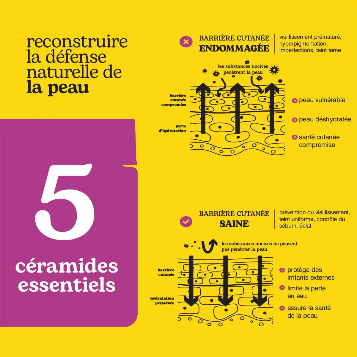 Beesline Pro-Age barrièrecrème ceramiden verstevigend